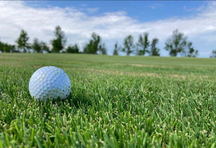 Regina driving ranges to open Saturday; golf courses to open in May - Vimarsana News