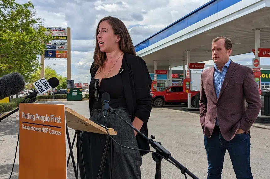  We Need Something Now Sask NDP Calls For Immediate Government 