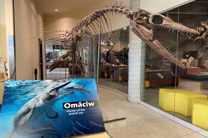 New exhibit opening at T. rex Discovery Centre | 650 CKOM