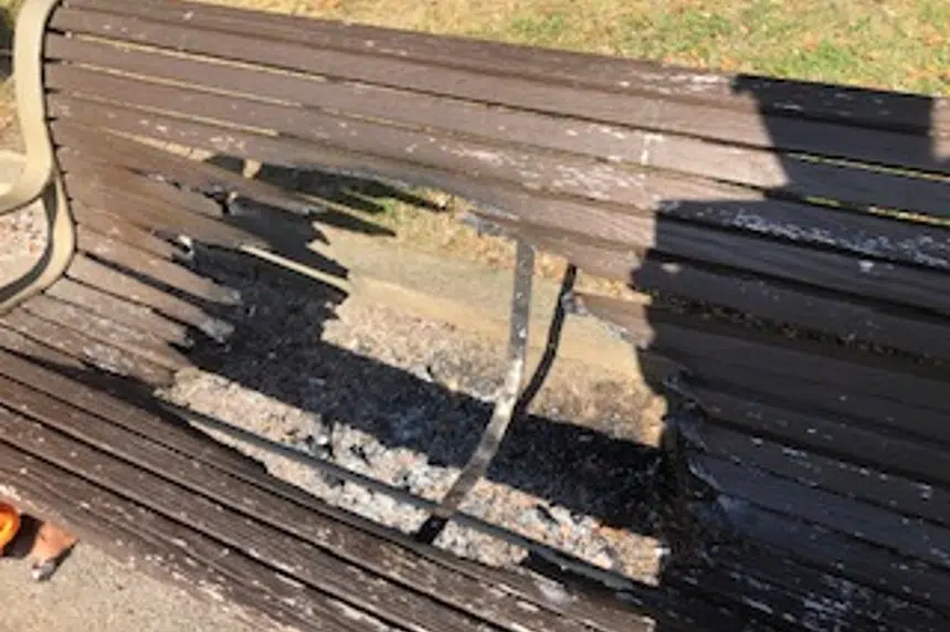 Regina man says torched bench ‘senseless vandalism’ that taints public