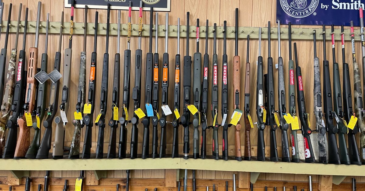 Some sections of Saskatchewan Firearms Act now in effect - Vimarsana News