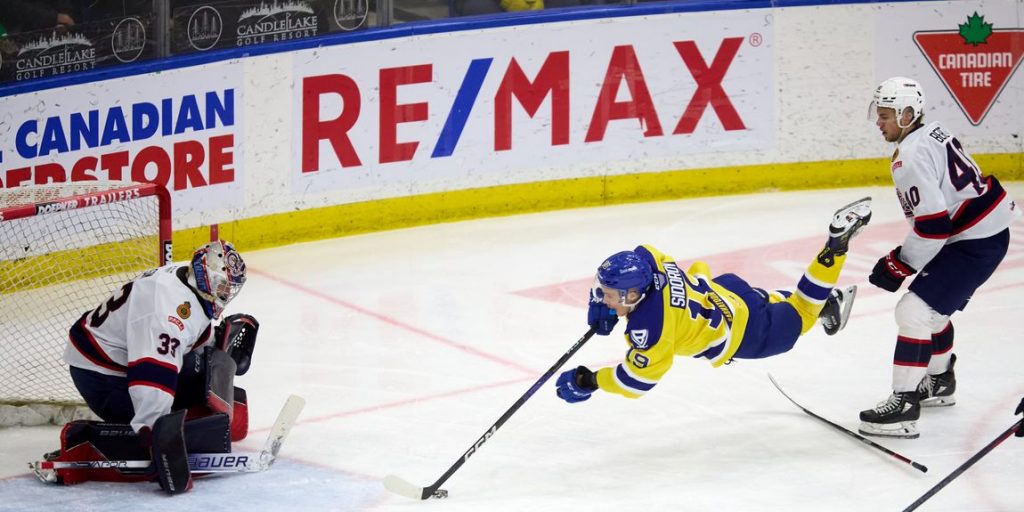 Pats, Blades lock horns as playoff series begins - Vimarsana News