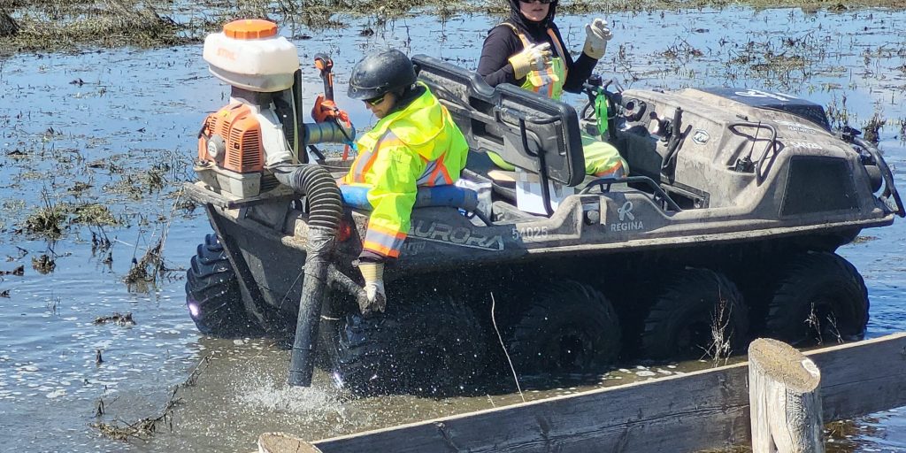 City of Regina begins 2023 mosquito control program - Vimarsana News