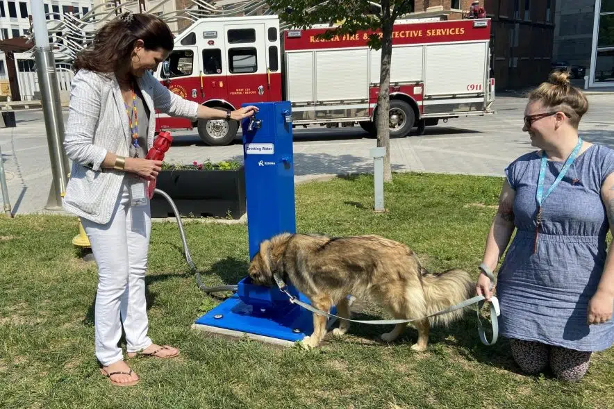 Dog Approved New Water Drinking Station Installed Downtown 980 CJME   Ng Water Stations 1 Scaled E1688149977793 