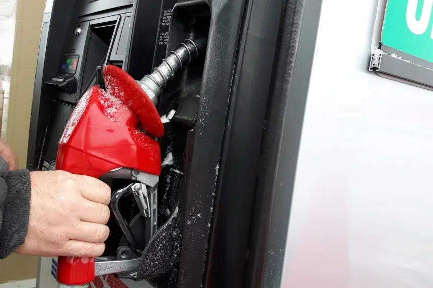 Increased carbon tax pushes up prices at the pump