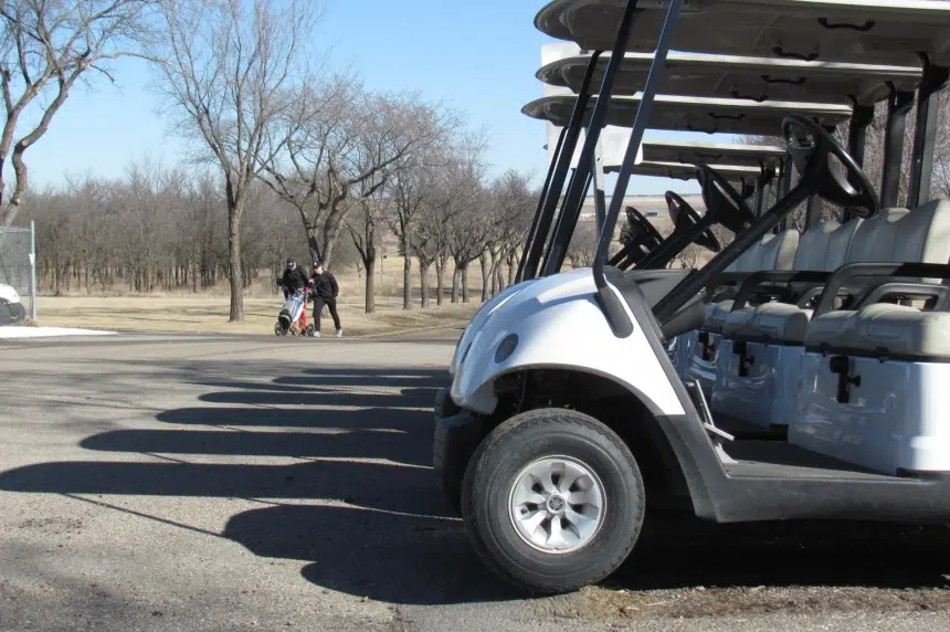 Fore! Municipalities free to allow golf carts on roads in Saskatchewan