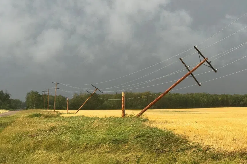 SaskPower to inspect more than 100,000 wooden poles