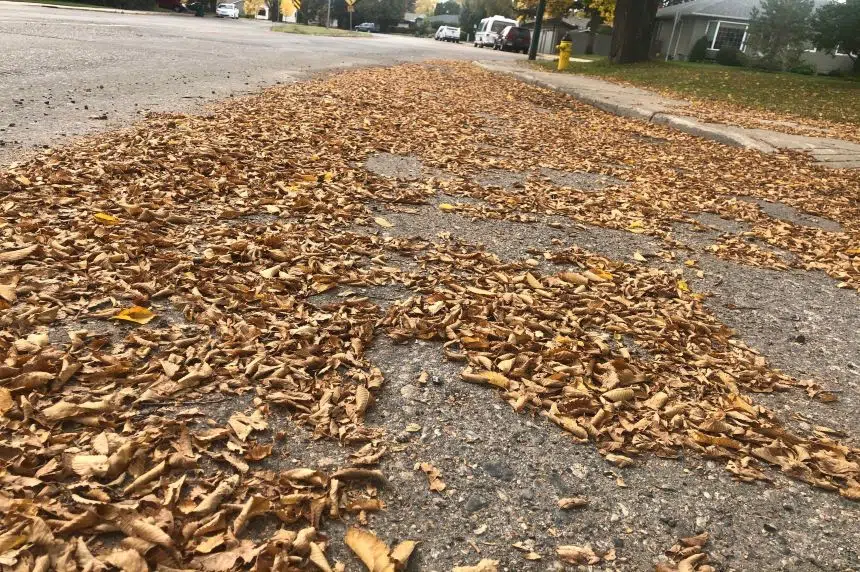 Leave your leaves alone: Conservancy Canada