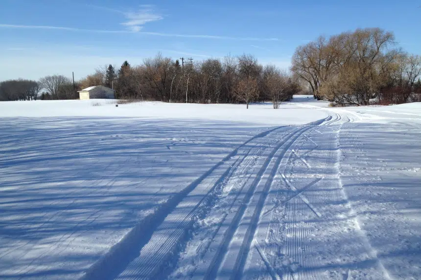 ‘Today is like a gift’: Saskatchewan gets break from frigid winter temperatures