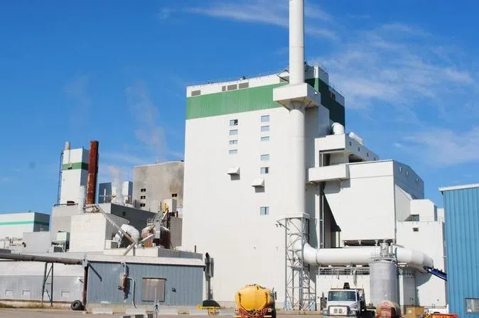 Timber allocations approved for restart of pulp mill in Prince Albert