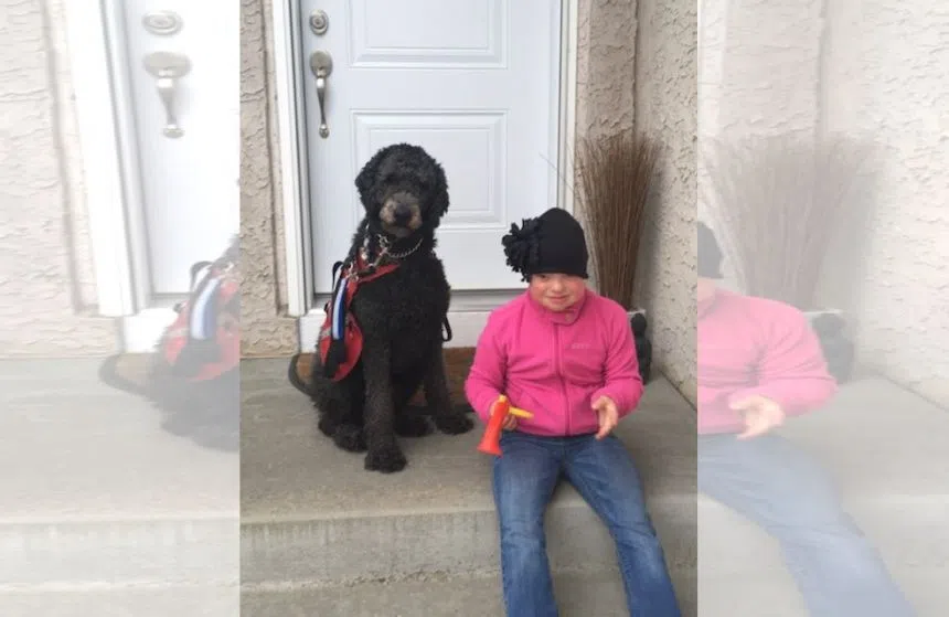 Service dogs changing lives for families with special needs