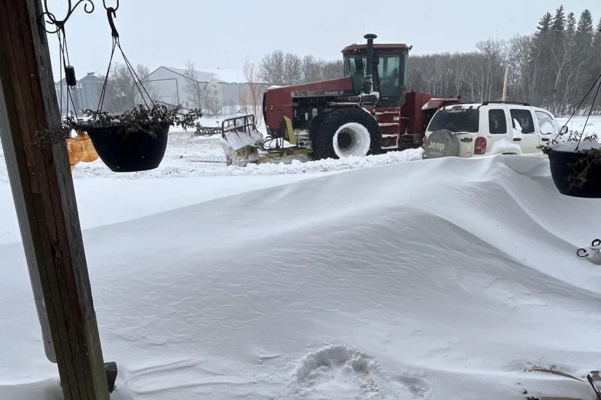 Farmers looking on the bright side after major snowstorm in southeast Sask.