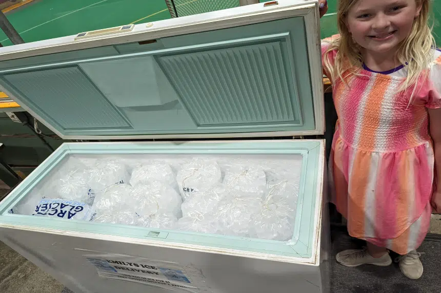 Saskatoon kid beats the heat with ice business