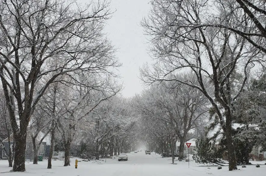 Environment Canada predicts first snowfall of the season in southern Sask.