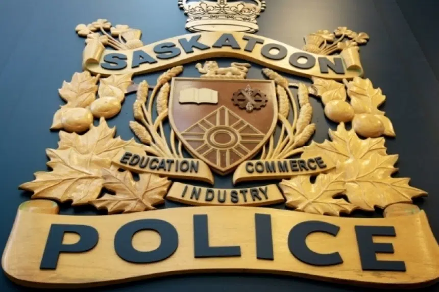 Saskatoon officers punched while responding to domestic assault call ...