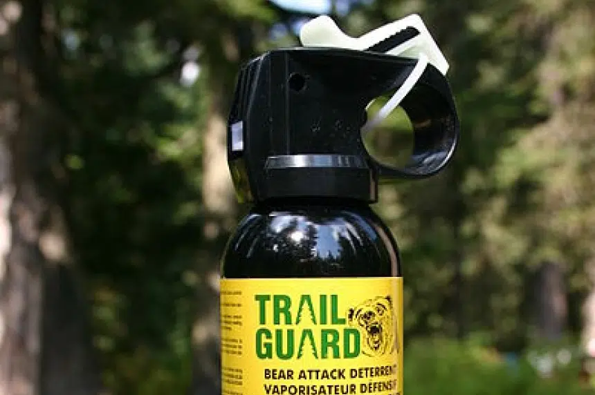 Police ask for video, info as officers investigate Exhibition bear spray incident 650 CKOM