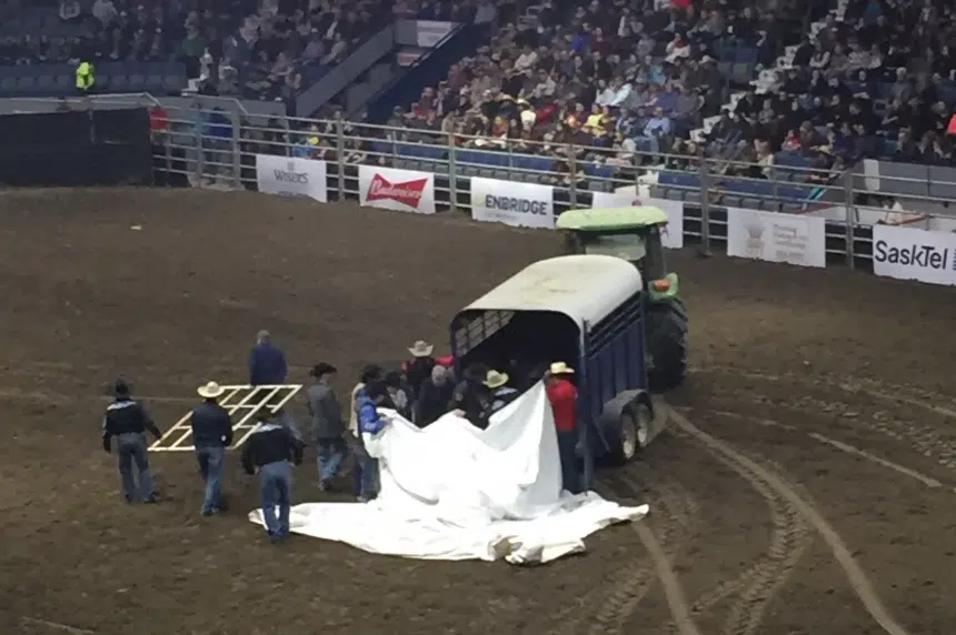 Update Horse euthanized after neck or spinal injury during Agribition