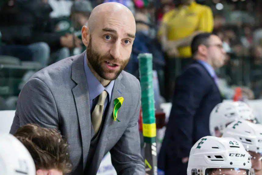 Blades head coach to take AHL bench boss position in Stockton