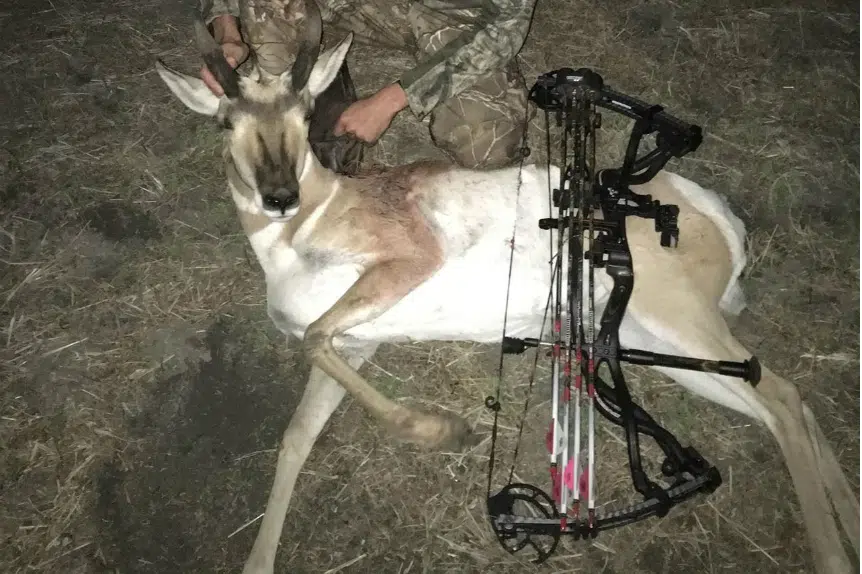 U.S. hunters use duck hunting ruse to bag illegal quarry in Canada