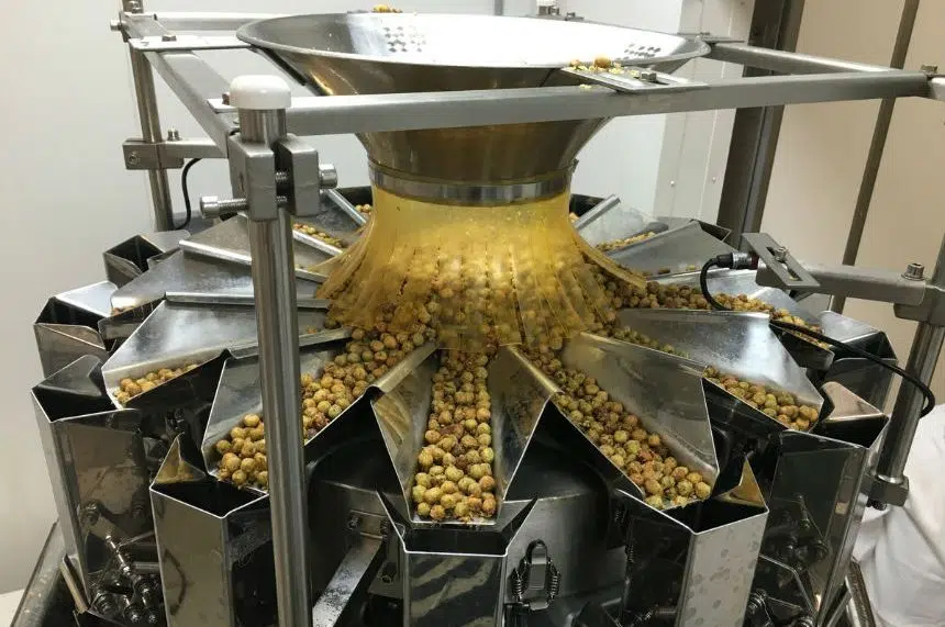 People develop more plantbased protein at Sask. Food Centre 650 CKOM