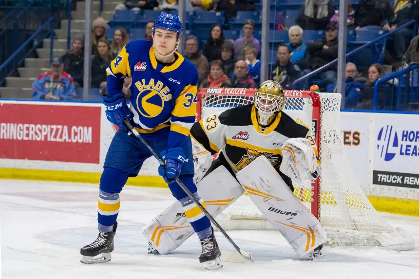 Blades use third period comeback to sink Wheat Kings