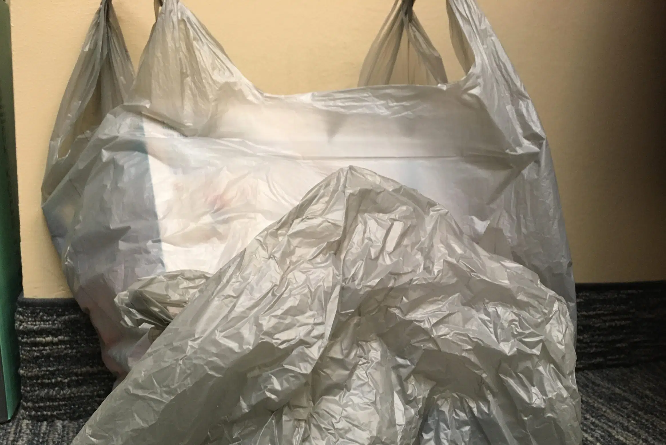 City of Prince Albert bans plastic checkout bags