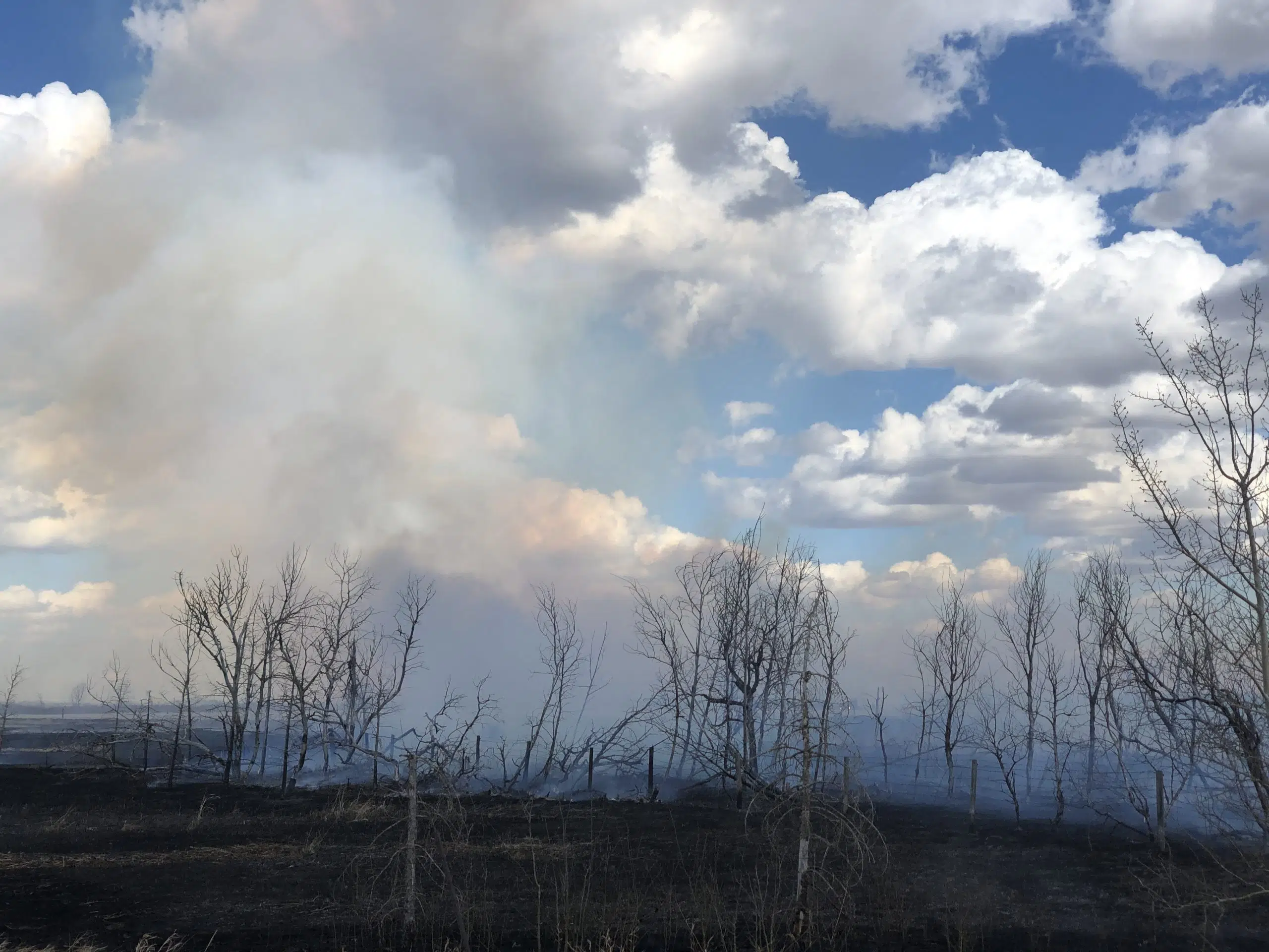 Fire bans issued southwest of Saskatoon