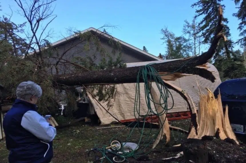 UPDATE: Storm leaves cottage owners at Madge Lake with big ...