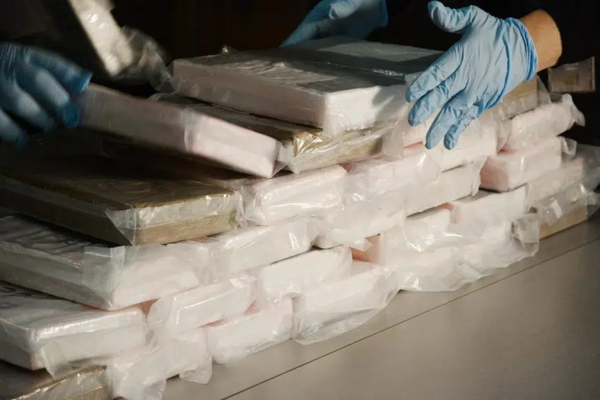 Two Ontario men facing charges after 50 kg of cocaine seized near Davidson