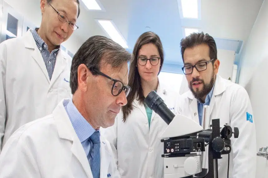 University of Alberta research team believes a cure for diabetes is within reach