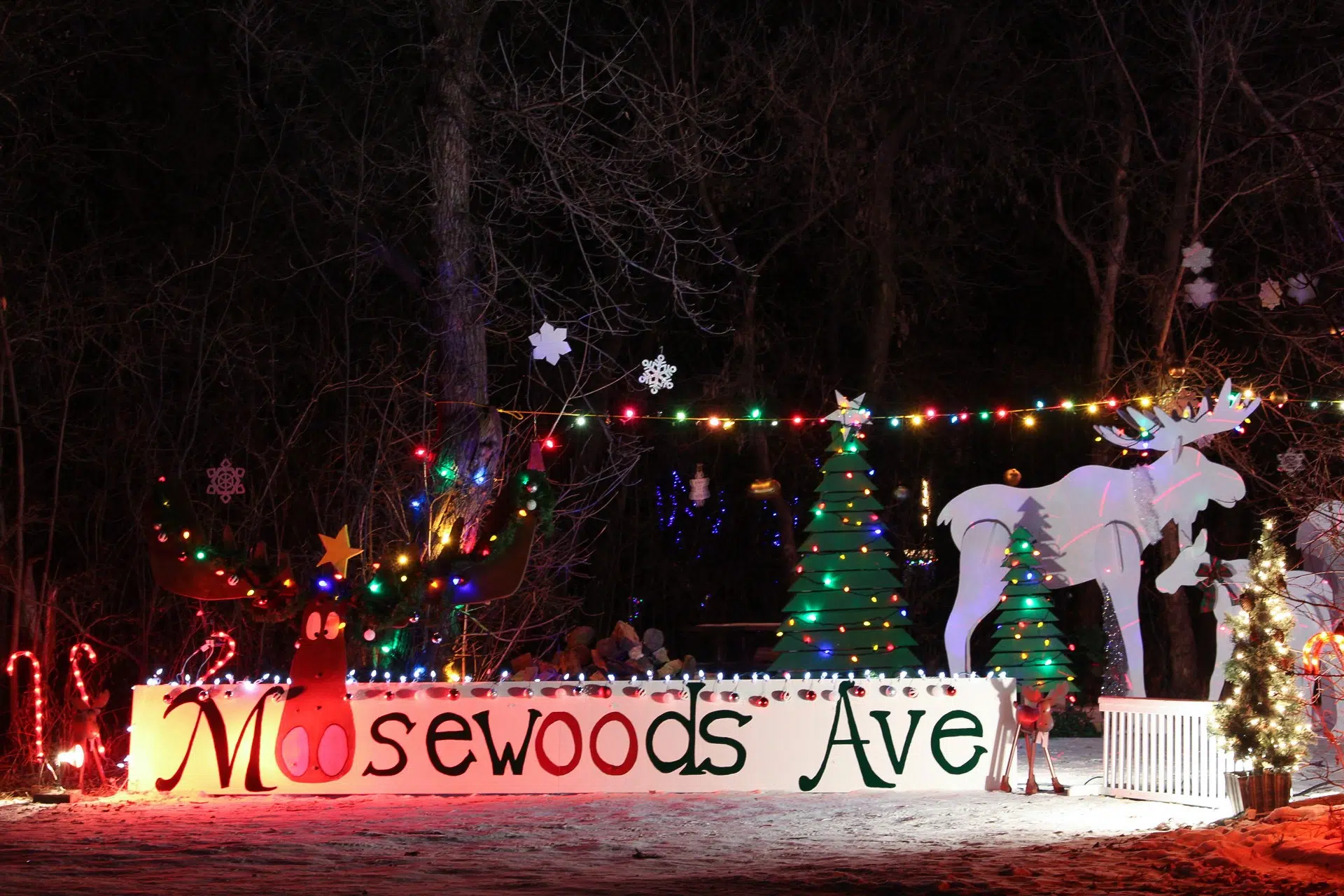 Sask. Parks creating festive environment through Christmas season 650