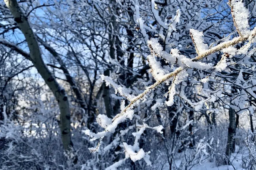 Extreme Cold Warnings Linger In Northern, East-central Sask. | 650 CKOM