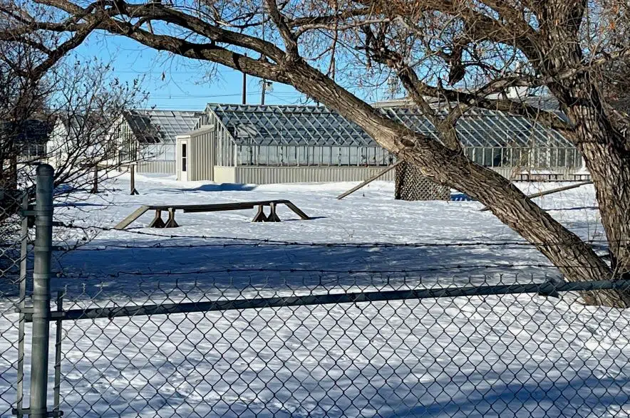 Alberta greenhouse to supply Saskatoon’s parks, planters and civic