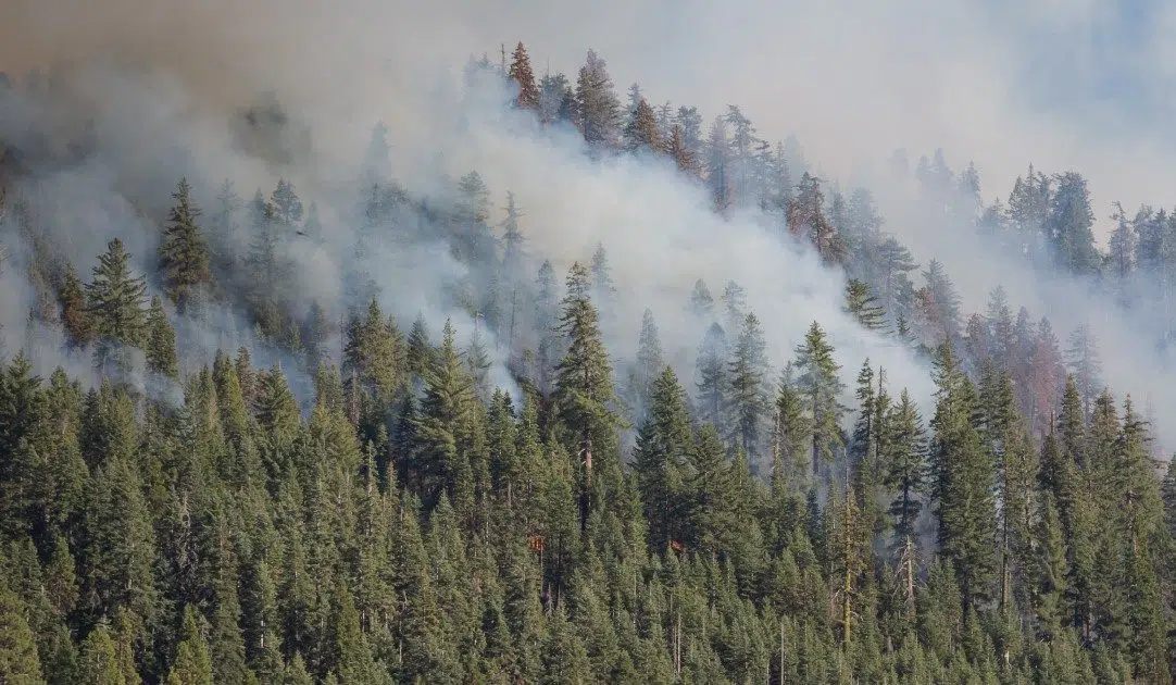 Former Sask. resident recounts escape from Drayton Valley wildfire ...