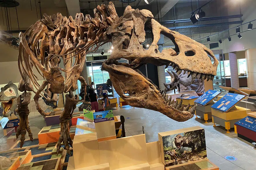 Eastend’s T. rex Discovery Centre opens May 20 | 980 CJME