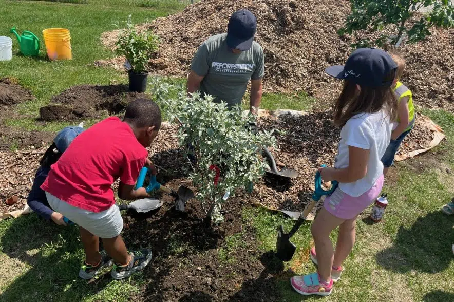 Saskatoon elementary school plants outdoor classroom for Arbor Week ...