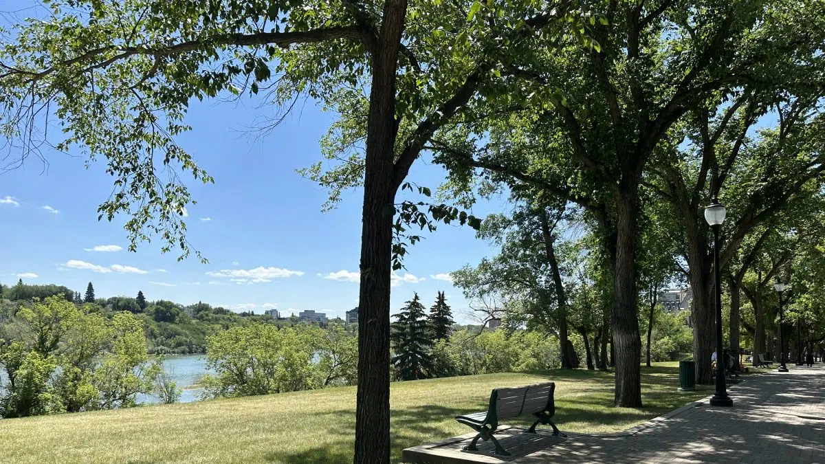 ‘Warm and dry’ Sask. forecast not promising for widespread rain 980 CJME