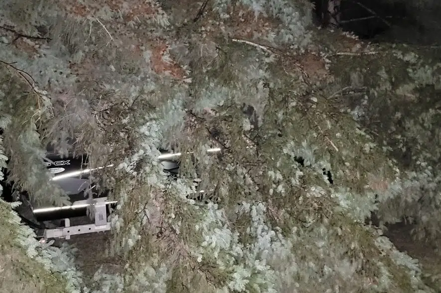 Canada Day storms bring damage from wild weather 650 CKOM