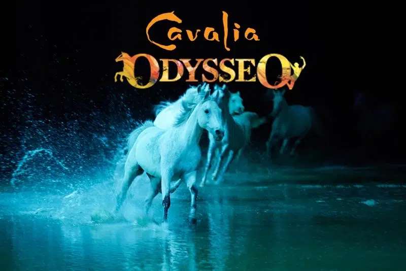 Cavalia Odysseo 93.7 JR Country