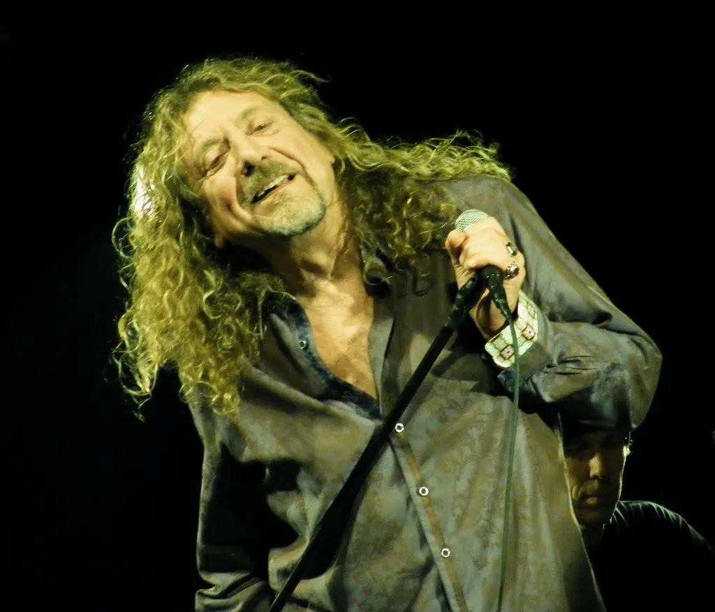 Robert plant interview Idea