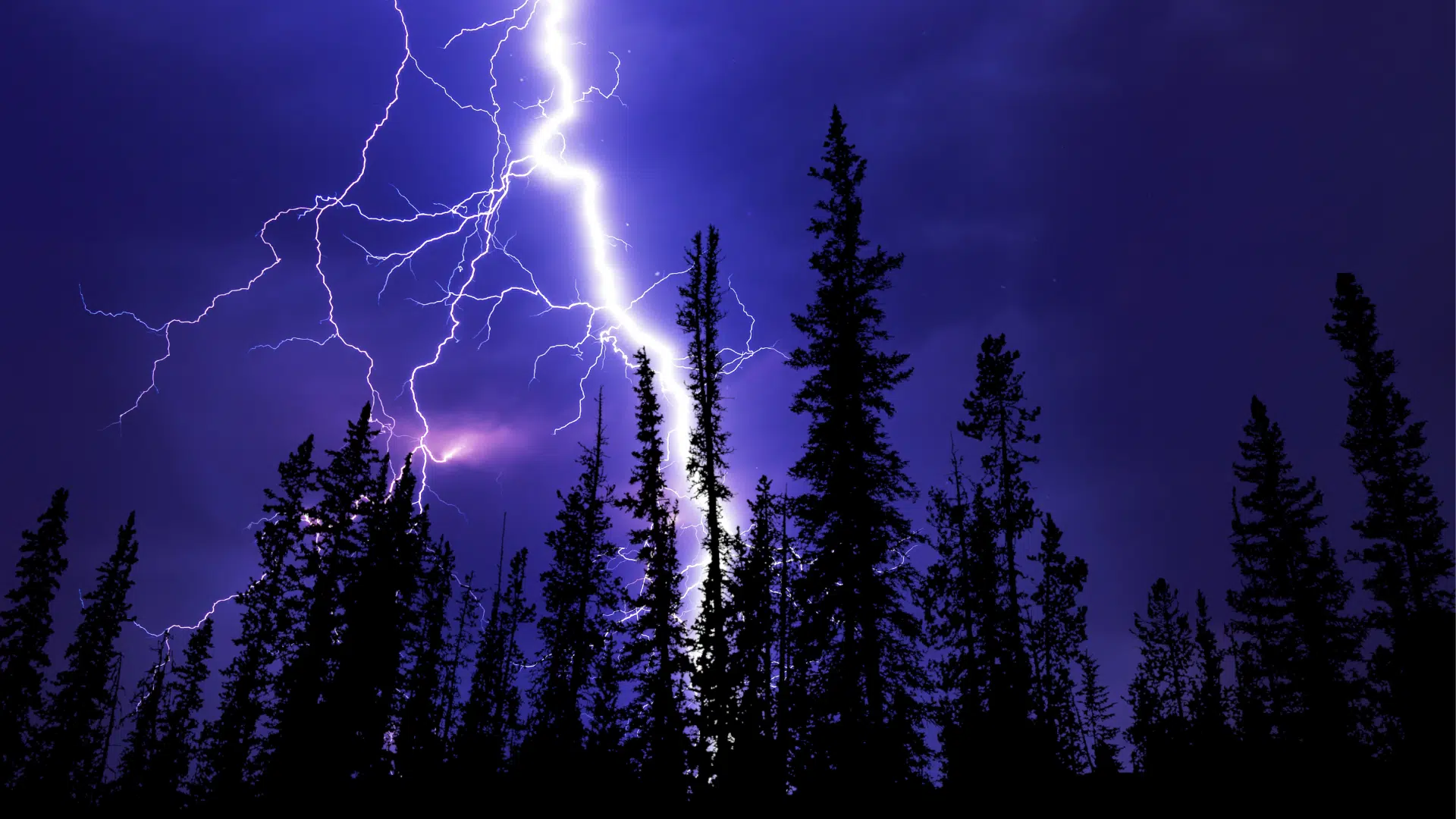 What are the odds of getting struck by lightening? Q98 Saskatchewan