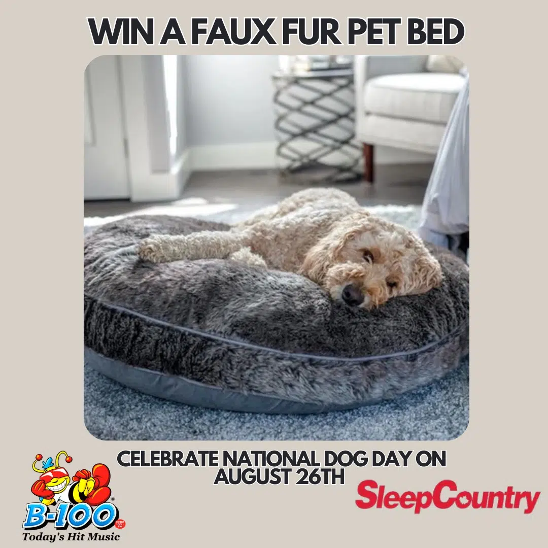 Pamper Your Pooch B100