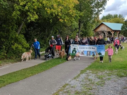 $20,000 raised to support animals in need at the Friends for Life Walk |   Renfrew Today