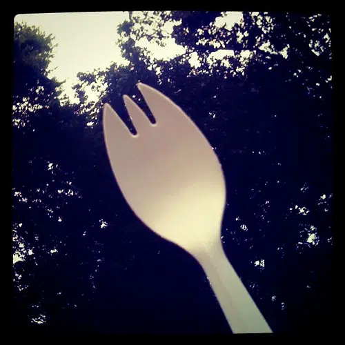 Toy Story 4 is out today at the Picture Show, and it’s all about the Spork, Who made that spork?