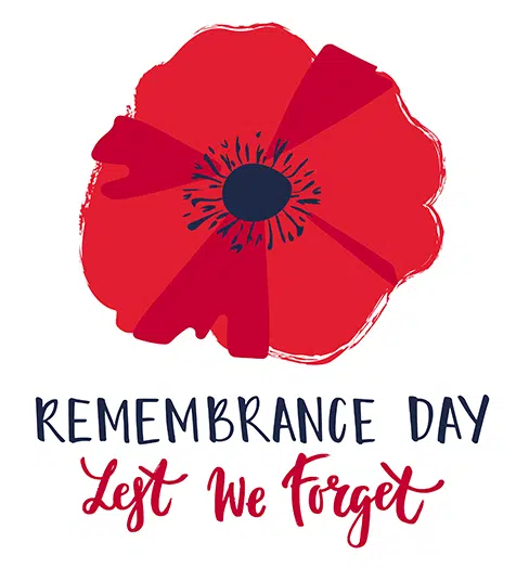 Image result for remembrance day
