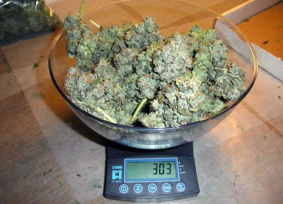 1 кг марихуаны стоит