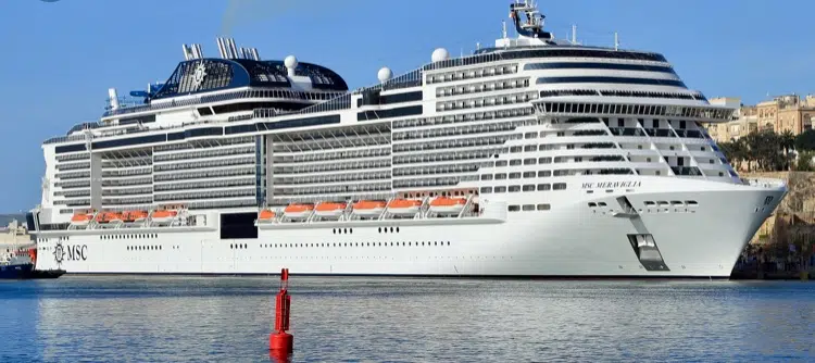 cruise ship 6000 passengers