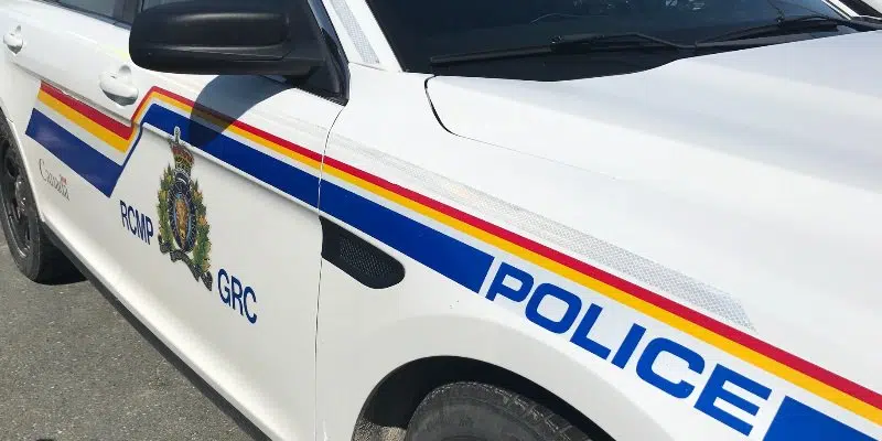 Multiple Rcmp Services Needed To Arrest Marysvale Man 