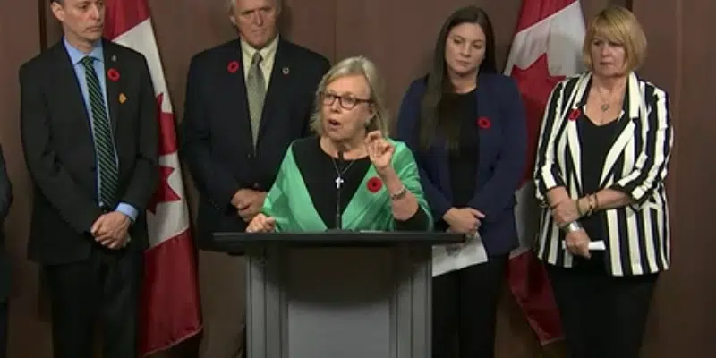 Elizabeth May Steps Down As Leader Of Green Party Vocm 7942