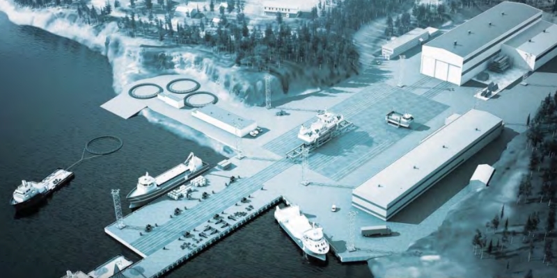 Proposed Marbase Hatchery Released from Further Environmental Assessment - Vimarsana News